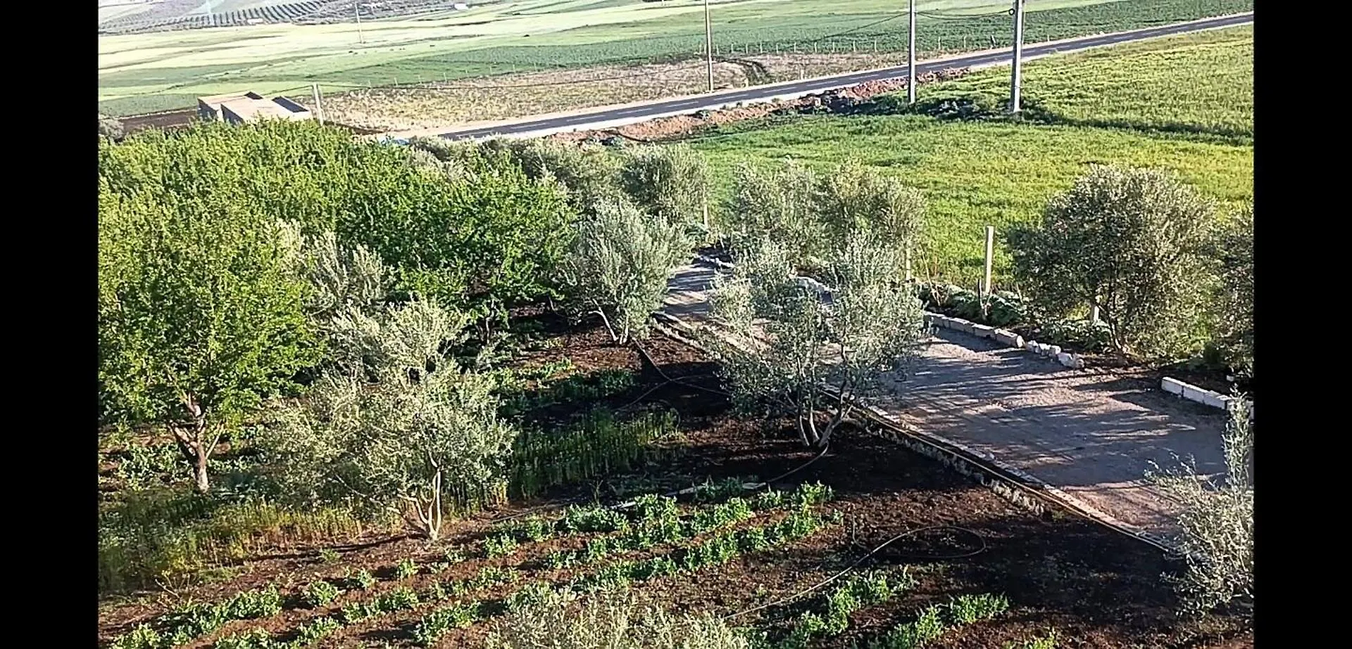 Ferme Khadija Villa Fes