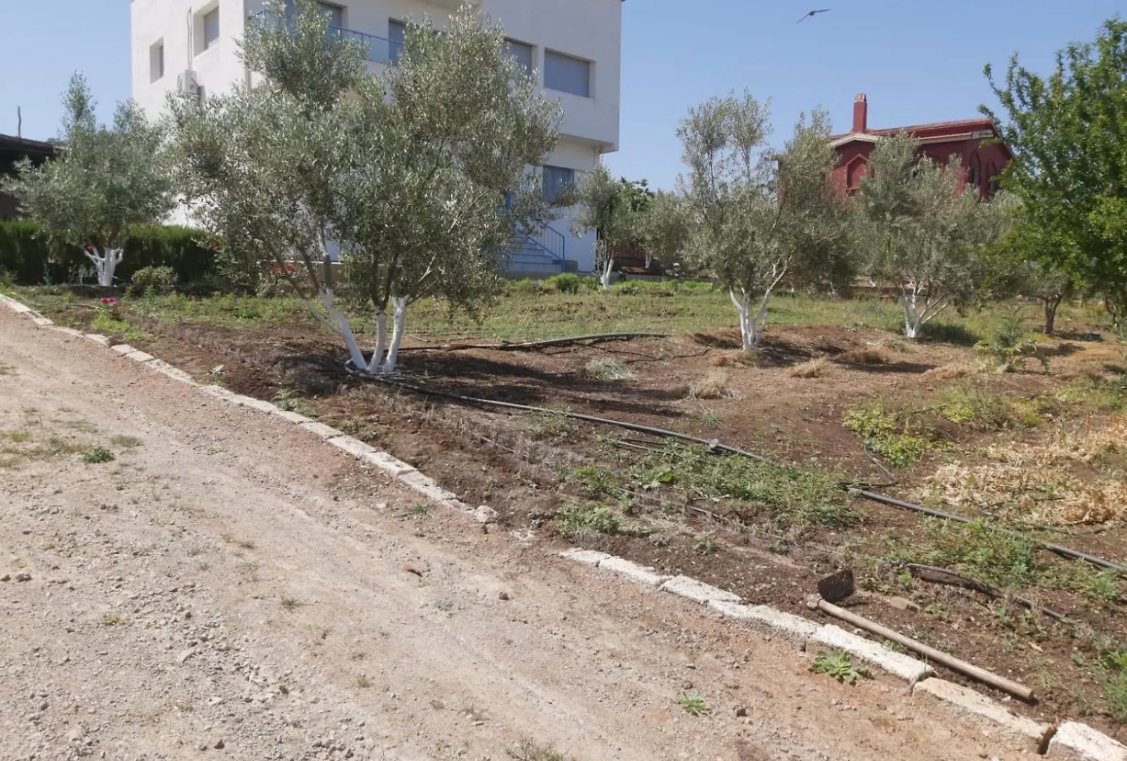 Ferme Khadija Villa Fes